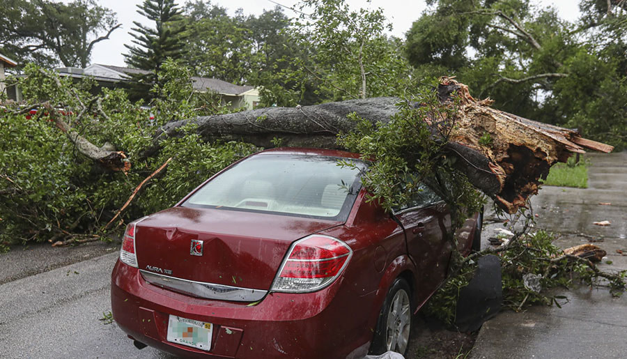 tree service marketing