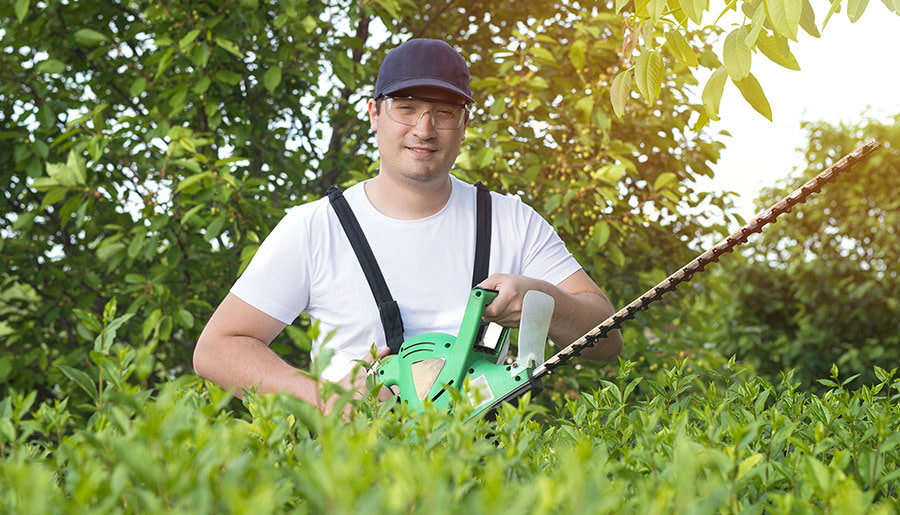 tree service digital marketing